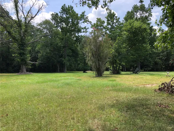 a view of garden with trees