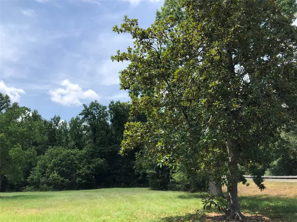 a view of a yard with a tree