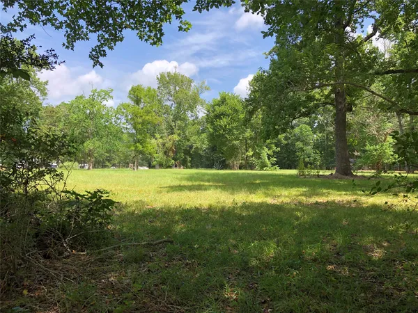 a view of outdoor space with deck and yard