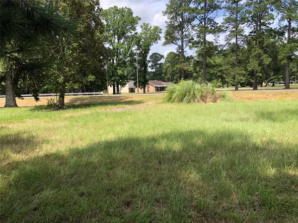 a view of yard with trees