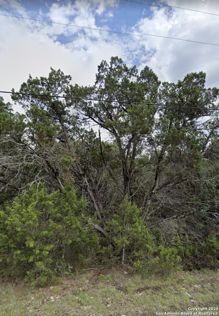 0 Bob White Spring Branch, TX 78070 - Photo 1 of 3