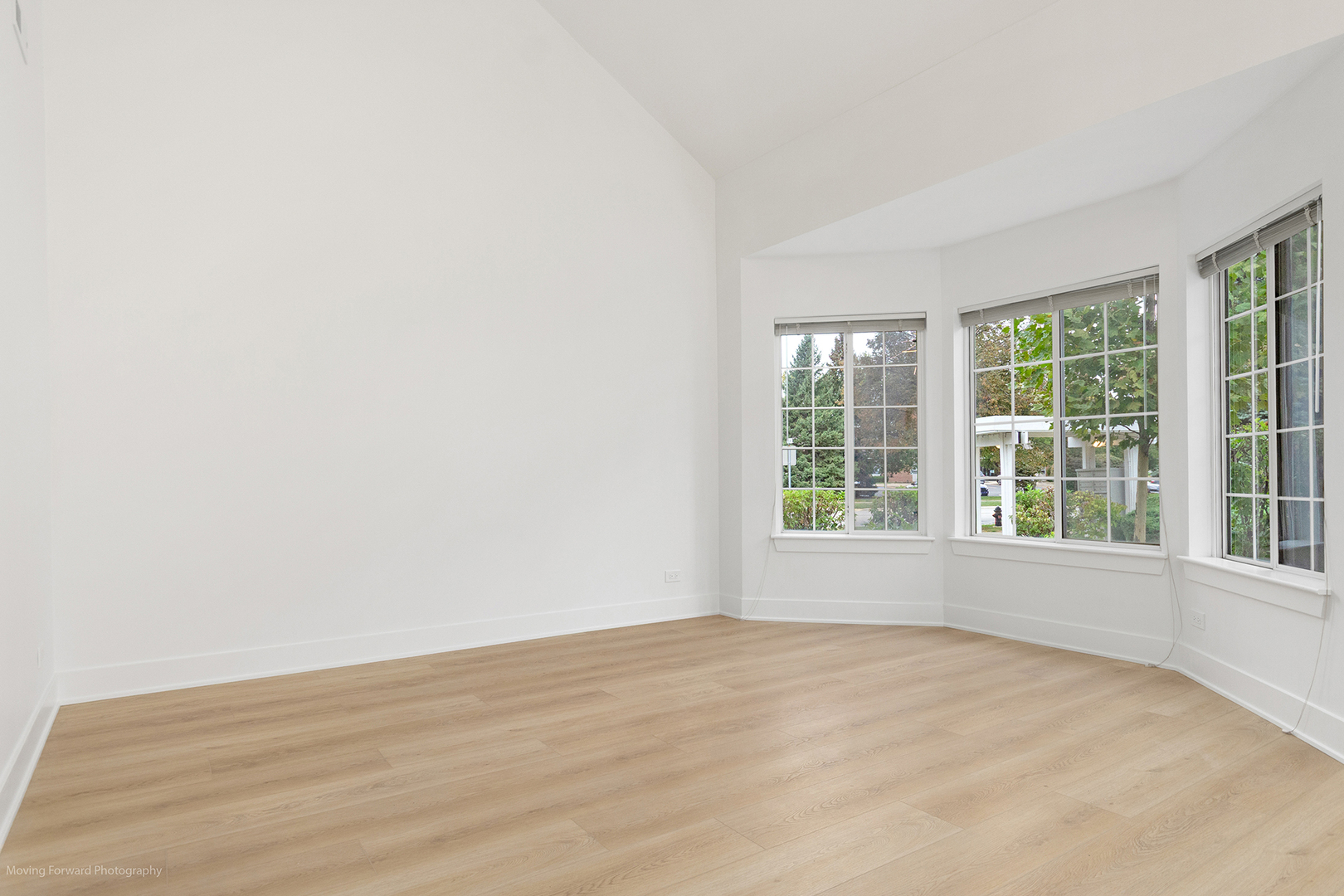 372 Windsong Court Bolingbrook, IL 60440 - Photo 7 of 29