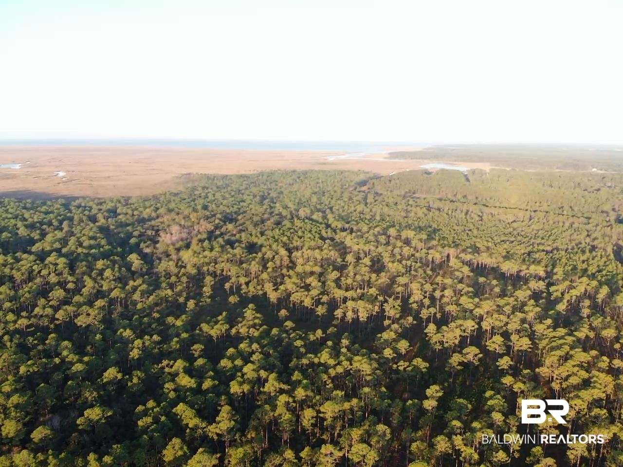 0 South Heron Bay Loop Road South Coden, AL 36523 - Photo 5 of 6