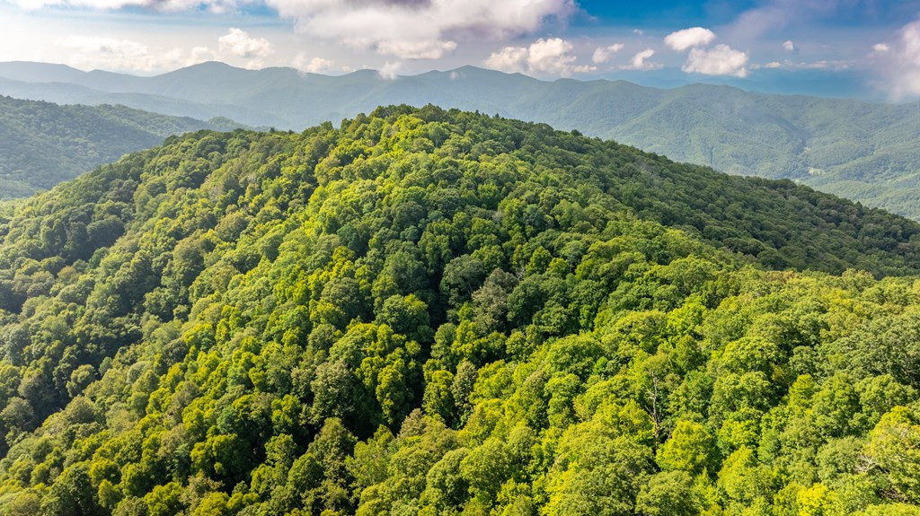 0 East Alarka Road Bryson City, NC 28713 - Photo 11 of 28