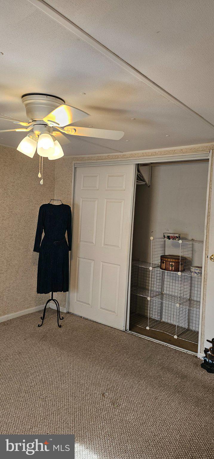 33506 Buttercup Street Lewes, DE 19958 - Photo 7 of 14 Cozy room with stylish closet space.