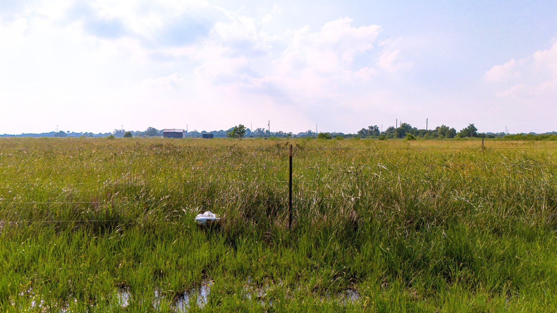 Tbd Hughes Road Guy, TX 77444 - Photo 23 of 29