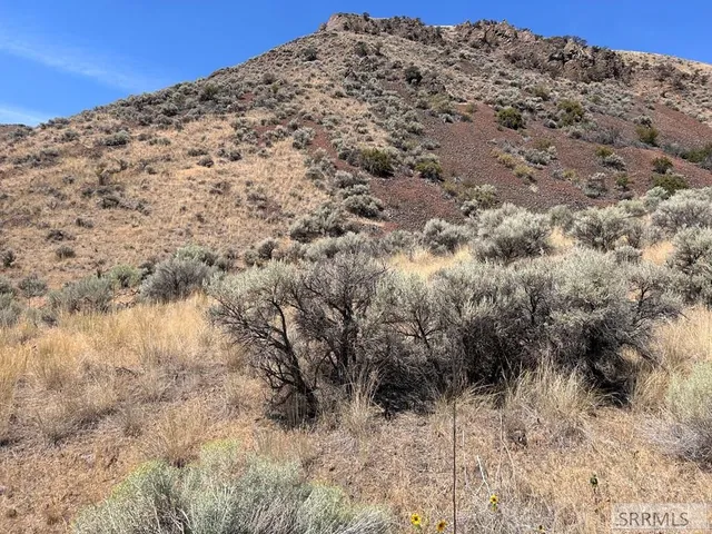 $12,000 | Tbd West Chukar Circle, Salmon, ID 83467