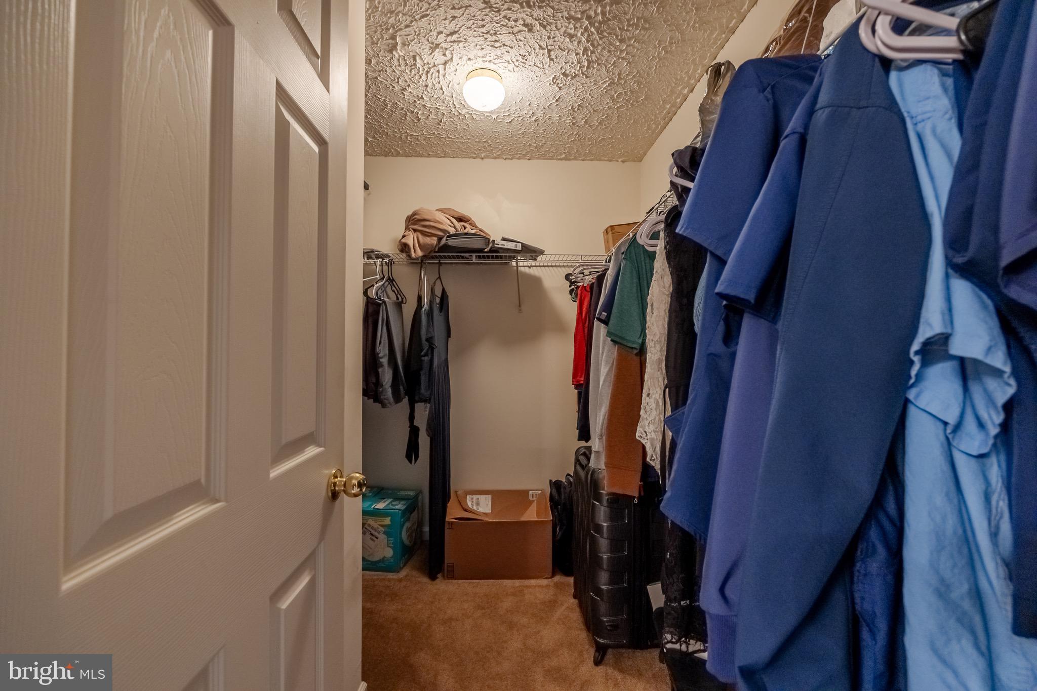 239 Bucktail Drive Middletown, DE 19709 - Photo 20 of 57