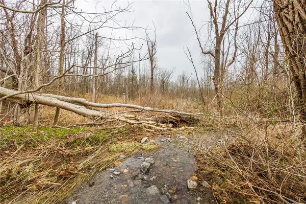 $119,900 | 0 Main Street, Honeoye, NY 14471