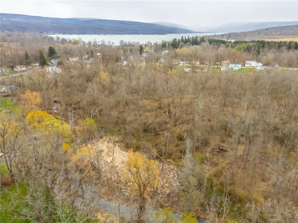 0 Main Street Honeoye, NY 14471 - Photo 22 of 29