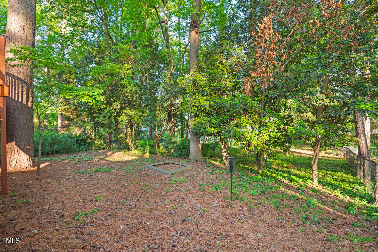 2715 Augusta Drive Durham, NC 27707 - Photo 51 of 60 59