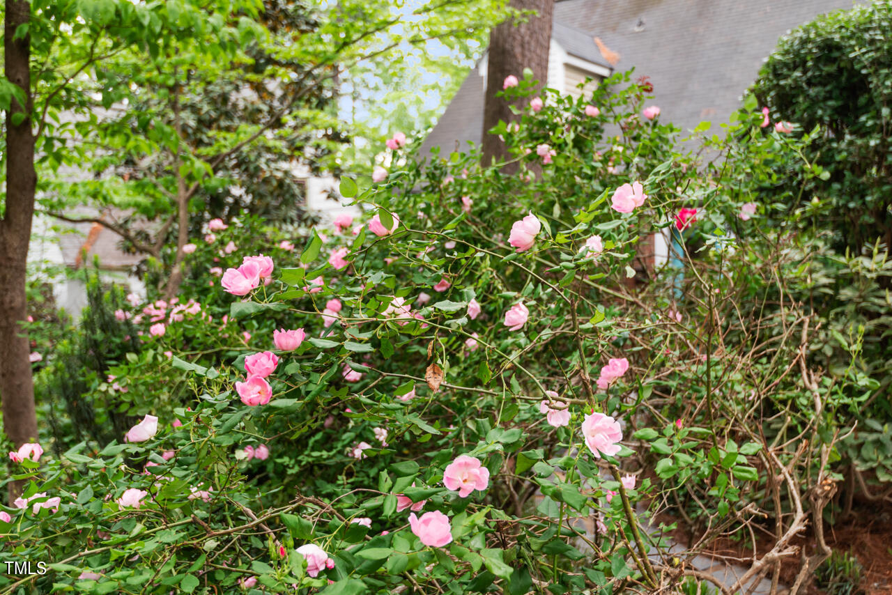 2715 Augusta Drive Durham, NC 27707 - Photo 59 of 60 04