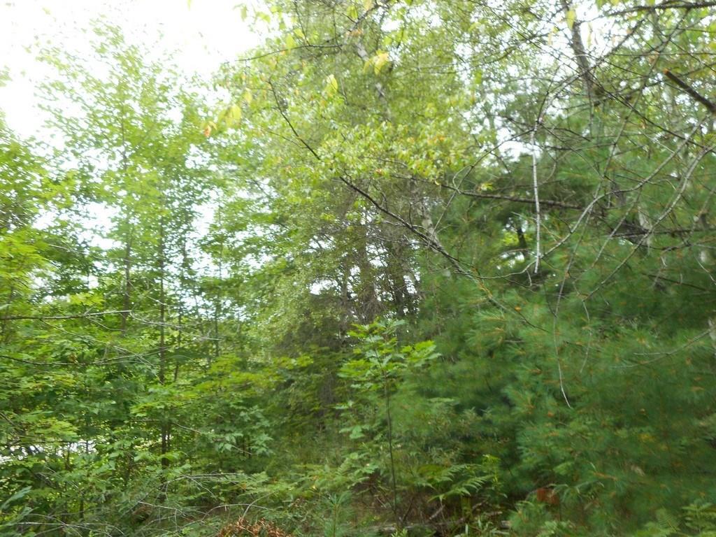 2 French Settlement Road Milford, ME 04461 - Photo 12 of 16 Photo