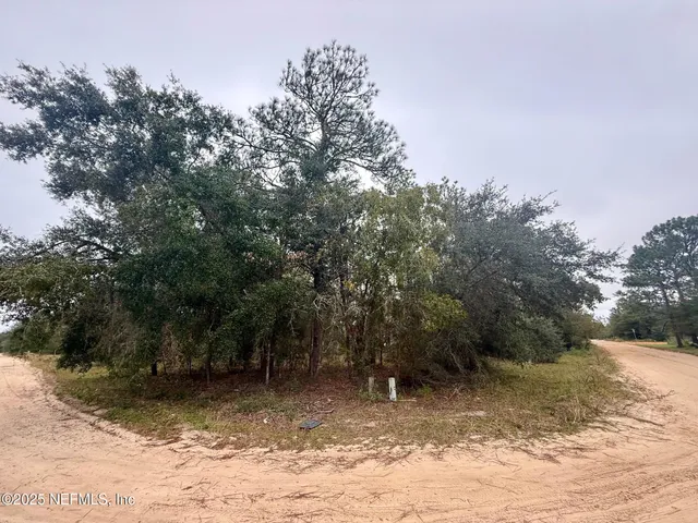 a view of a yard with a tree