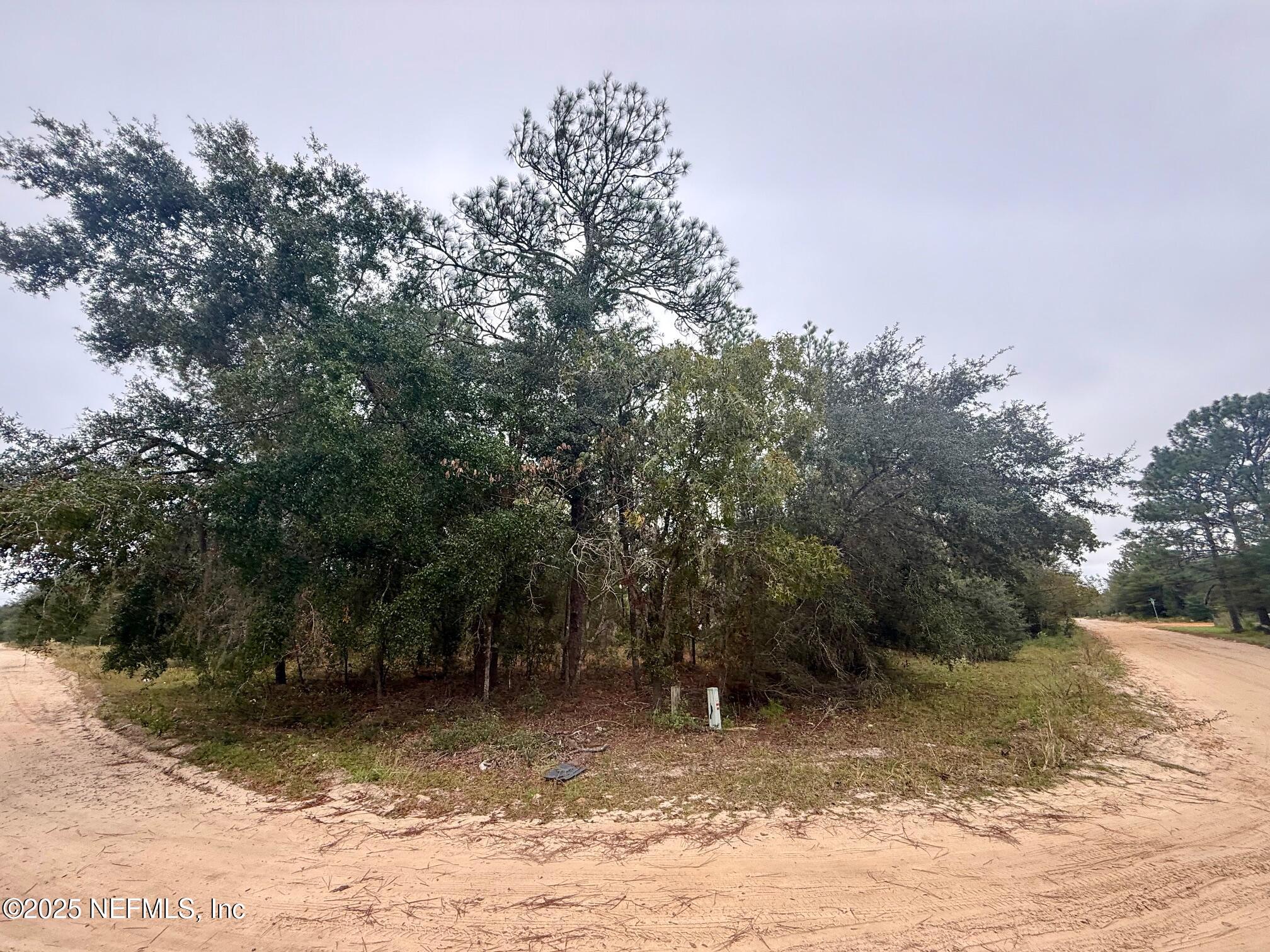 a view of a yard with a tree