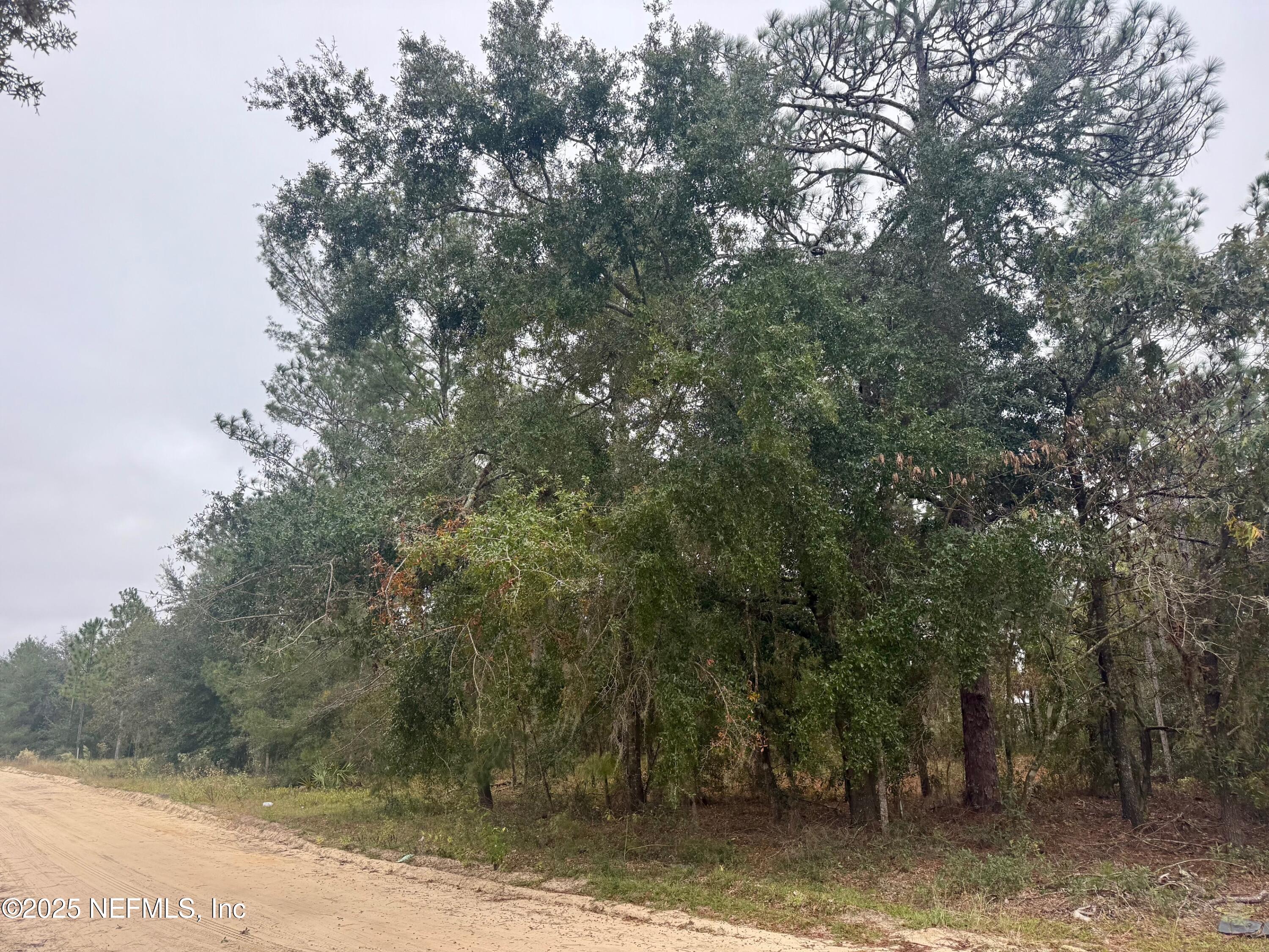 500 Georgette Street Interlachen, FL 32148 - Photo 3 of 3 a view of a forest with trees in front of it