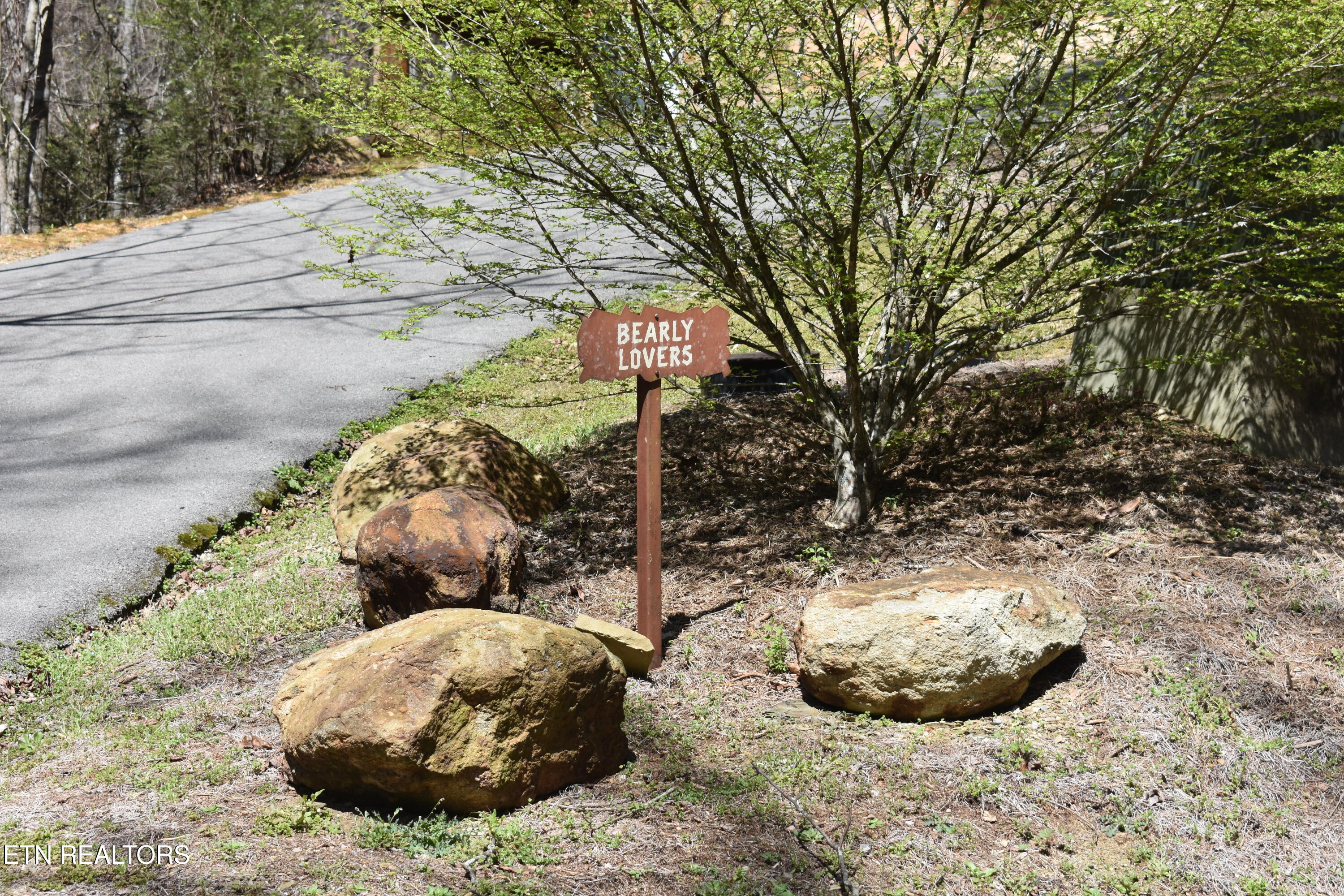 2910 Piney Ridge Way Sevierville, TN 37862 - Photo 22 of 35 DSC_0092