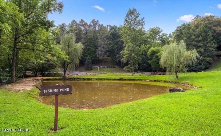 2910 Piney Ridge Way Sevierville, TN 37862 - Photo 30 of 35 FISHING POND