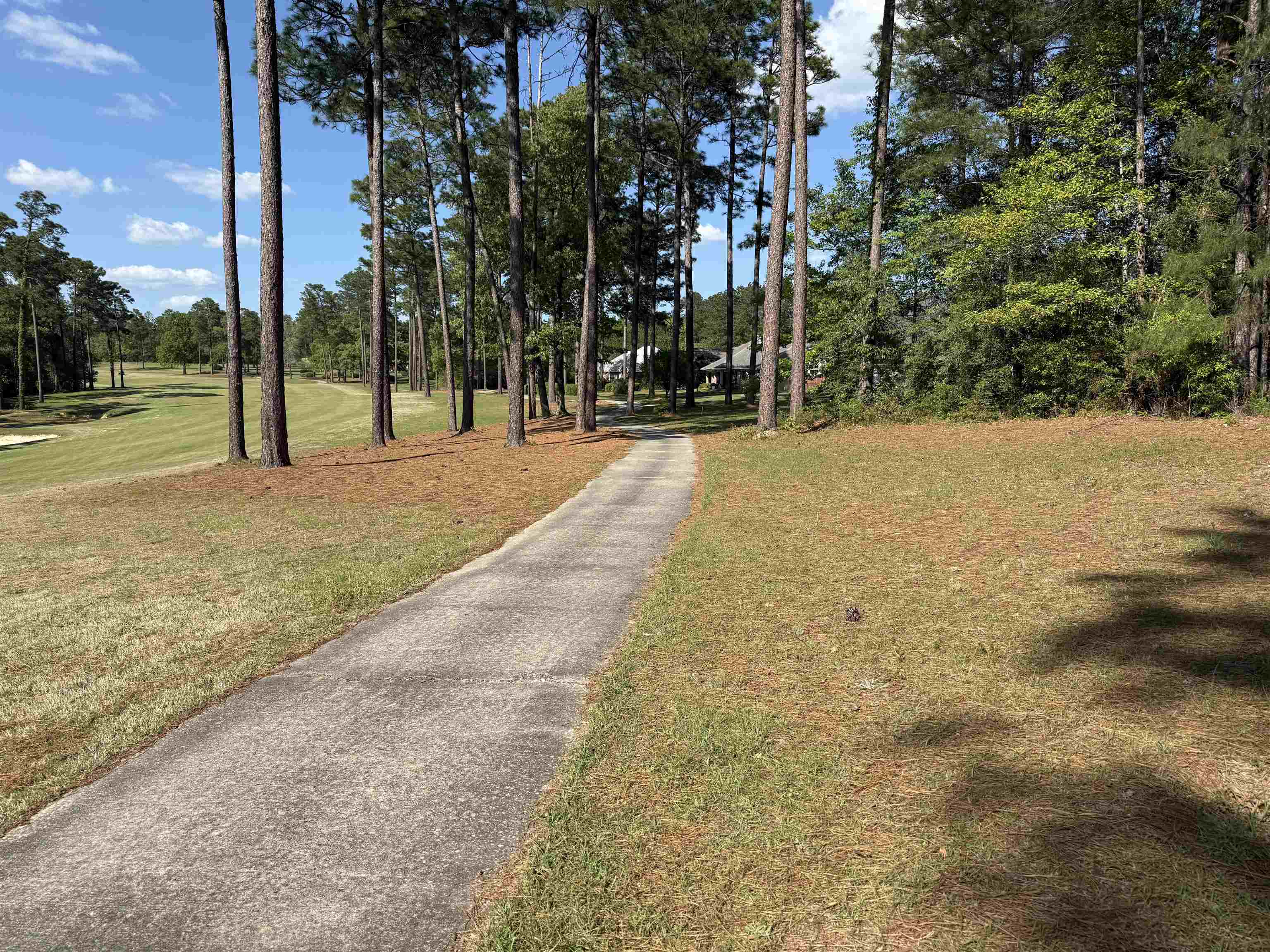 0 Juniper Creek Road Brewton, AL 36426 - Photo 3 of 5