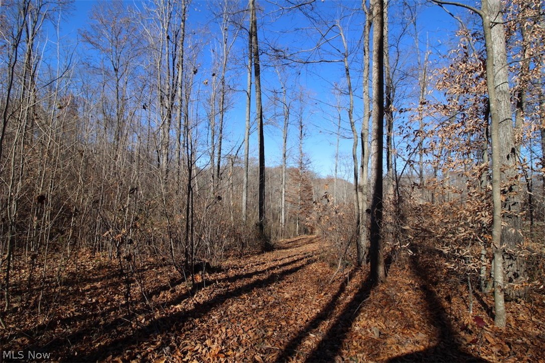 Jones Road Shade, OH 45776 - Photo 14 of 19
