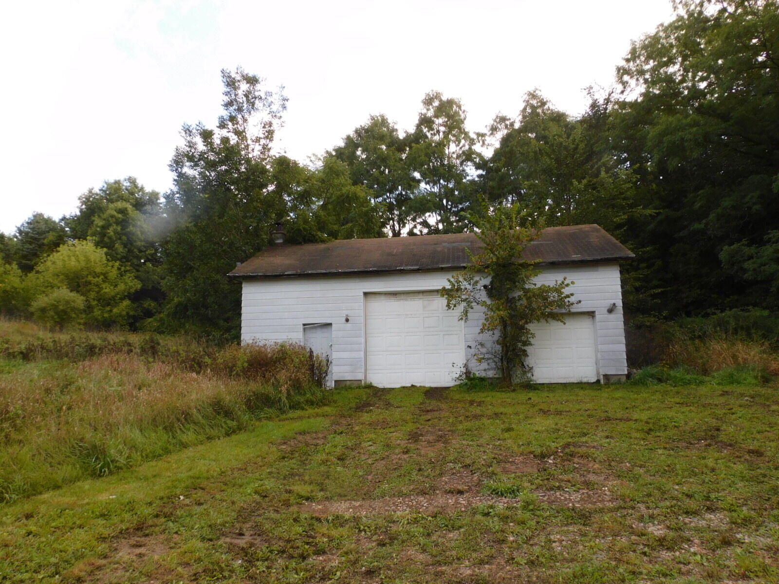8260 Baseline Road Bellevue, MI 49021 - Photo 9 of 19 DSCN2370