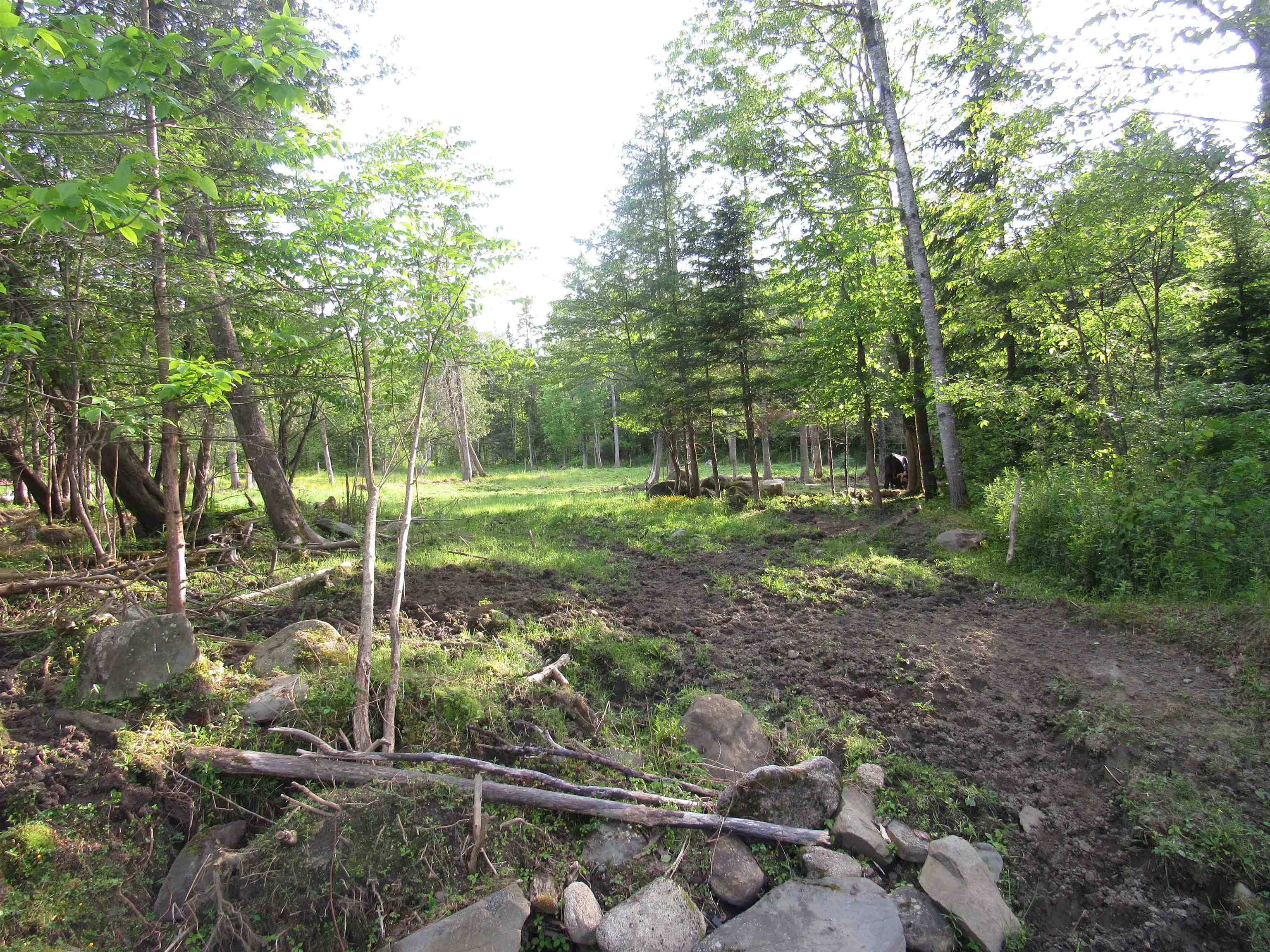 3490 Pepin Road Brownington, VT 05860 - Photo 43 of 44