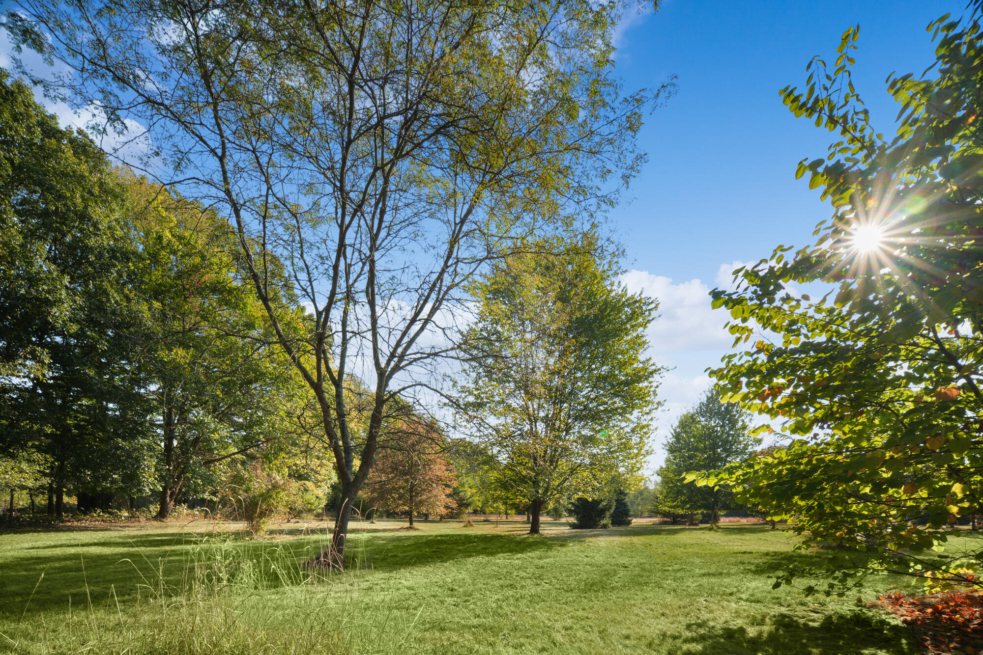 187 South Behnke Road Coldwater, MI 49036 - Photo 28 of 33 DSC01945