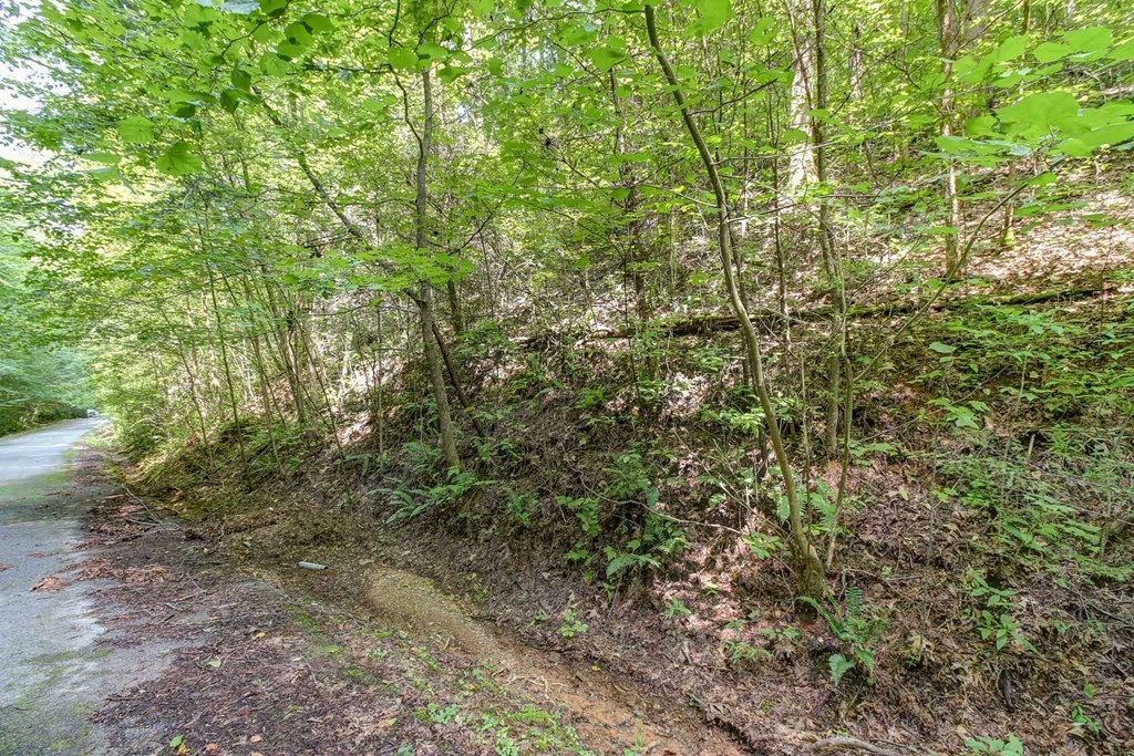 56 Riversong Way Sevierville, TN 37876 - Photo 8 of 11