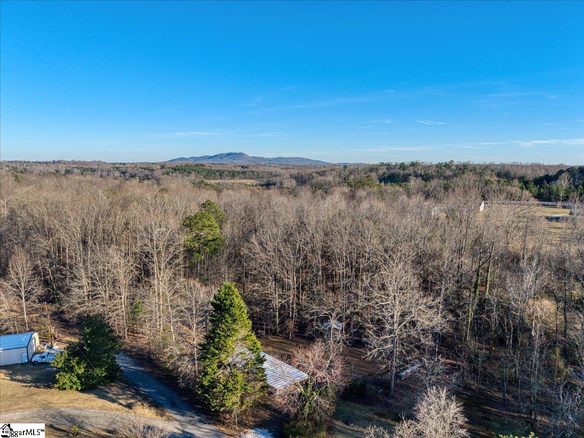 20 Hudson Road Travelers Rest, SC 29690 - Photo 41 of 41