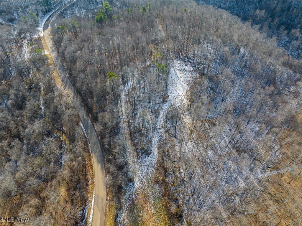 9 County Road New Matamoras, OH 45767 - Photo 35 of 48 Aerial view of property's location featuring a heavily wooded area