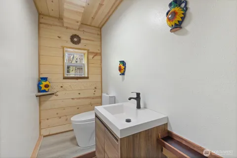 a bathroom with a sink a toilet and vanity