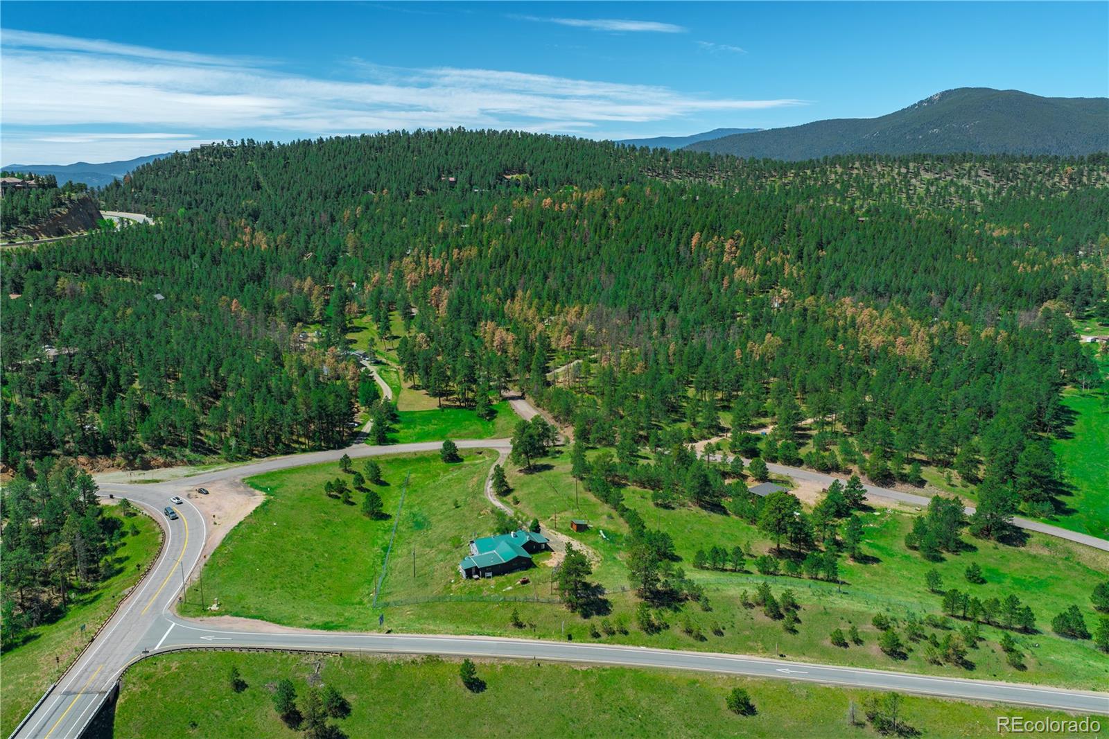 29793 Ruby Ranch Road Evergreen, CO 80439 - Photo 20 of 28 a view of a lush green field with lots of bushes