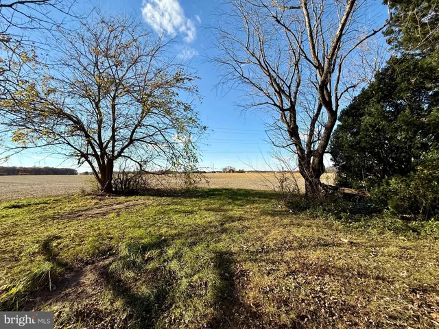 a view of yard with trees