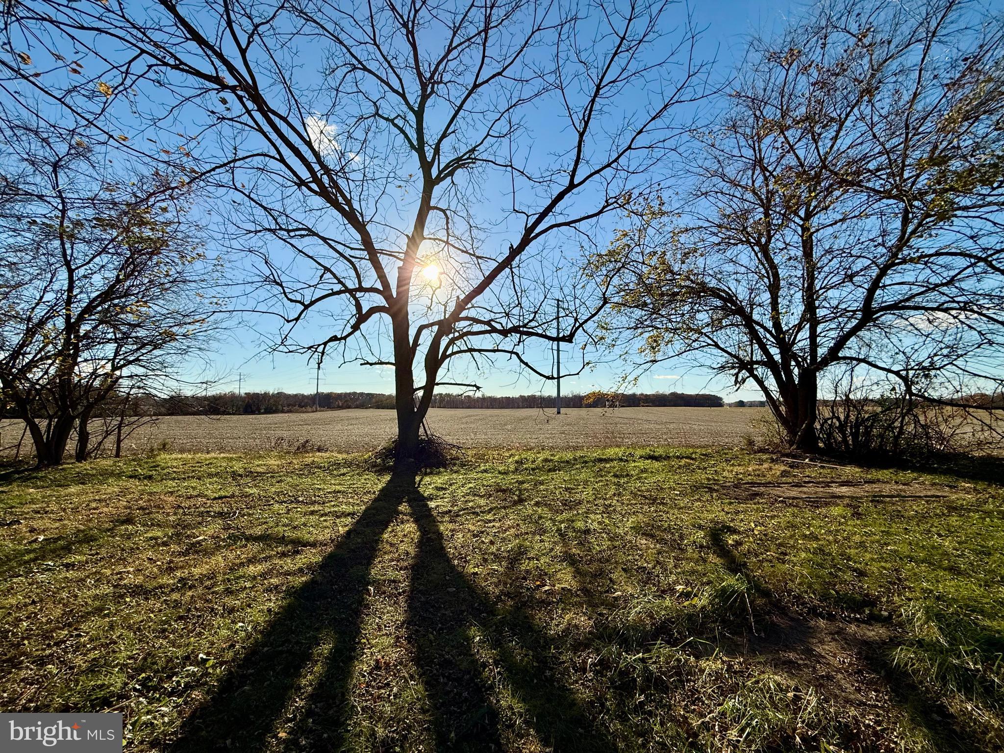 1040 Price Station Road Church Hill, MD 21623 - Photo 3 of 13 a view of an outdoor space with yard