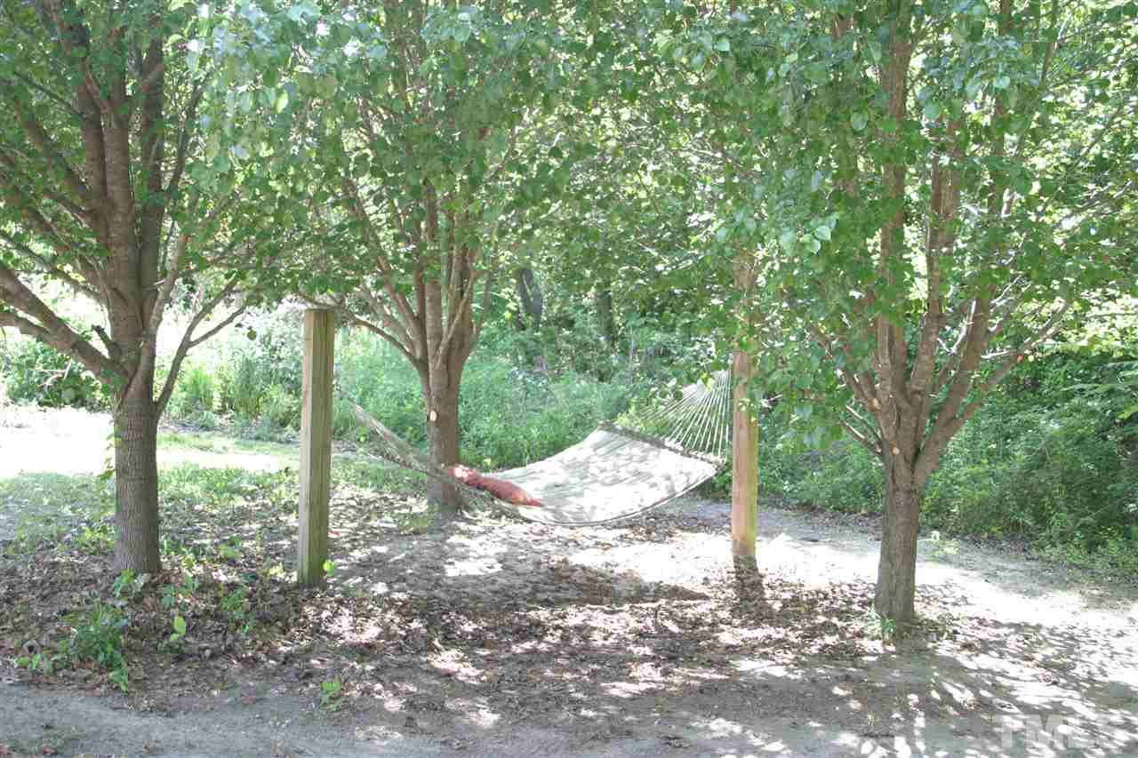 419 Rosa Circle Willow Spring, NC 27592 - Photo 22 of 25 a view of a trees with a tree