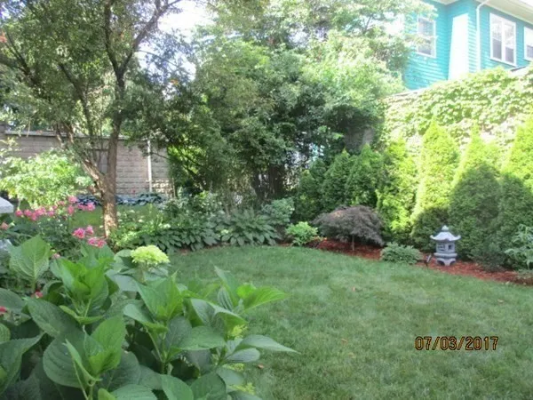 a view of a garden with plants and large trees