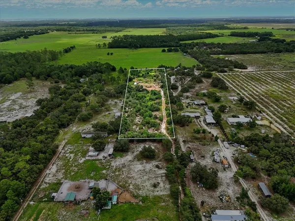 a view of a green yard with lots of trees