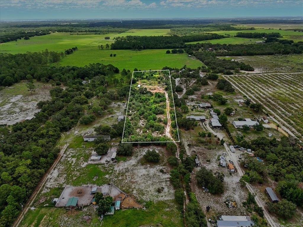 1681 McClellan Road Frostproof, FL 33843 - Photo 12 of 18 a view of a green yard with lots of trees