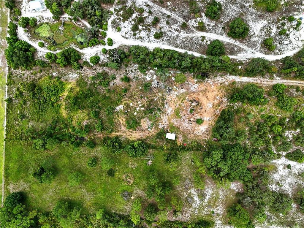 1681 McClellan Road Frostproof, FL 33843 - Photo 17 of 18 a view of a forest