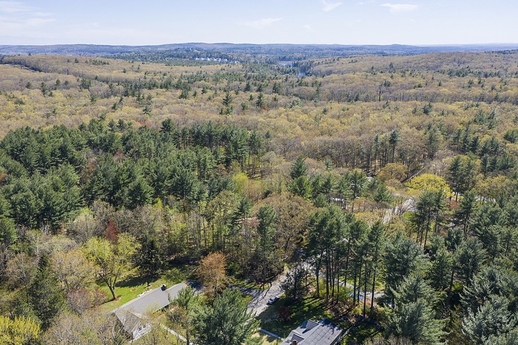 23 Nutting Road Groton, MA 01450 - Photo 40 of 42 an aerial view of forest