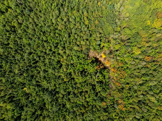 $259,000 | M7-l19 Old Crawford Road, Cooper, ME 04657