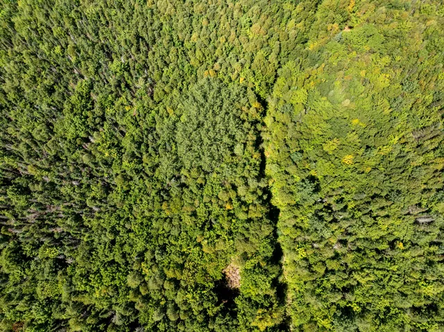 $259,000 | M7-l19 Old Crawford Road, Cooper, ME 04657