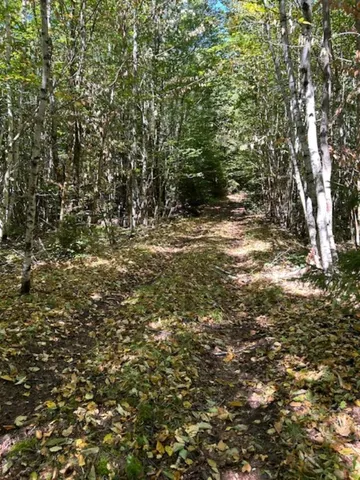 $259,000 | M7-l19 Old Crawford Road, Cooper, ME 04657