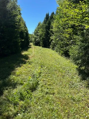 $259,000 | M7-l19 Old Crawford Road, Cooper, ME 04657