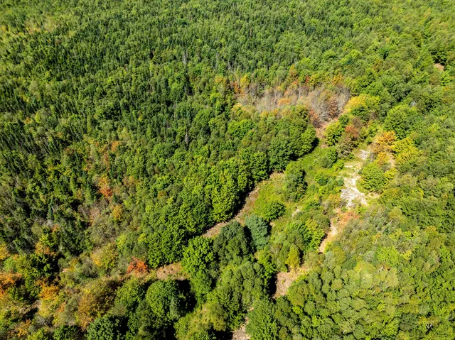 $259,000 | M7-l19 Old Crawford Road, Cooper, ME 04657