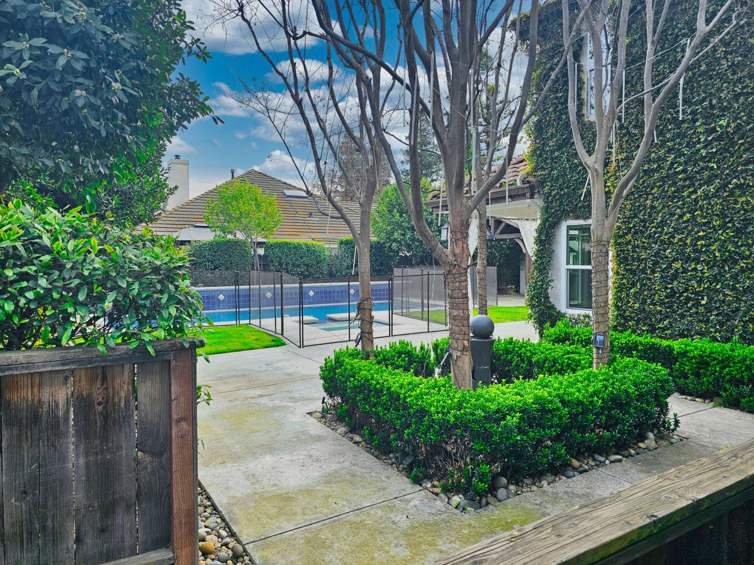 576 West Bedford Avenue Clovis, CA 93611 - Photo 71 of 79 a view of a backyard with large trees and plants