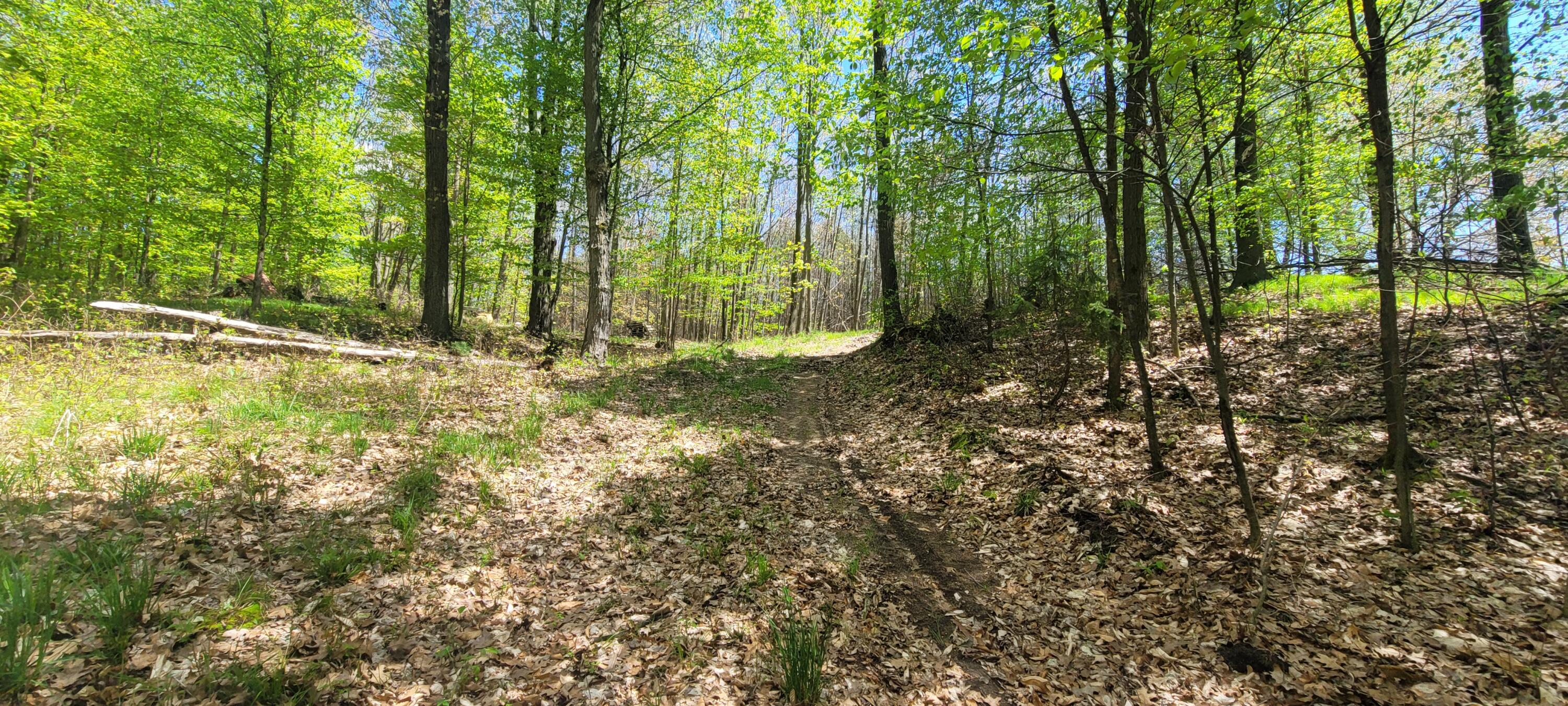 7190 West Fox Road Mears, MI 49436 - Photo 16 of 89 20240506_132000
