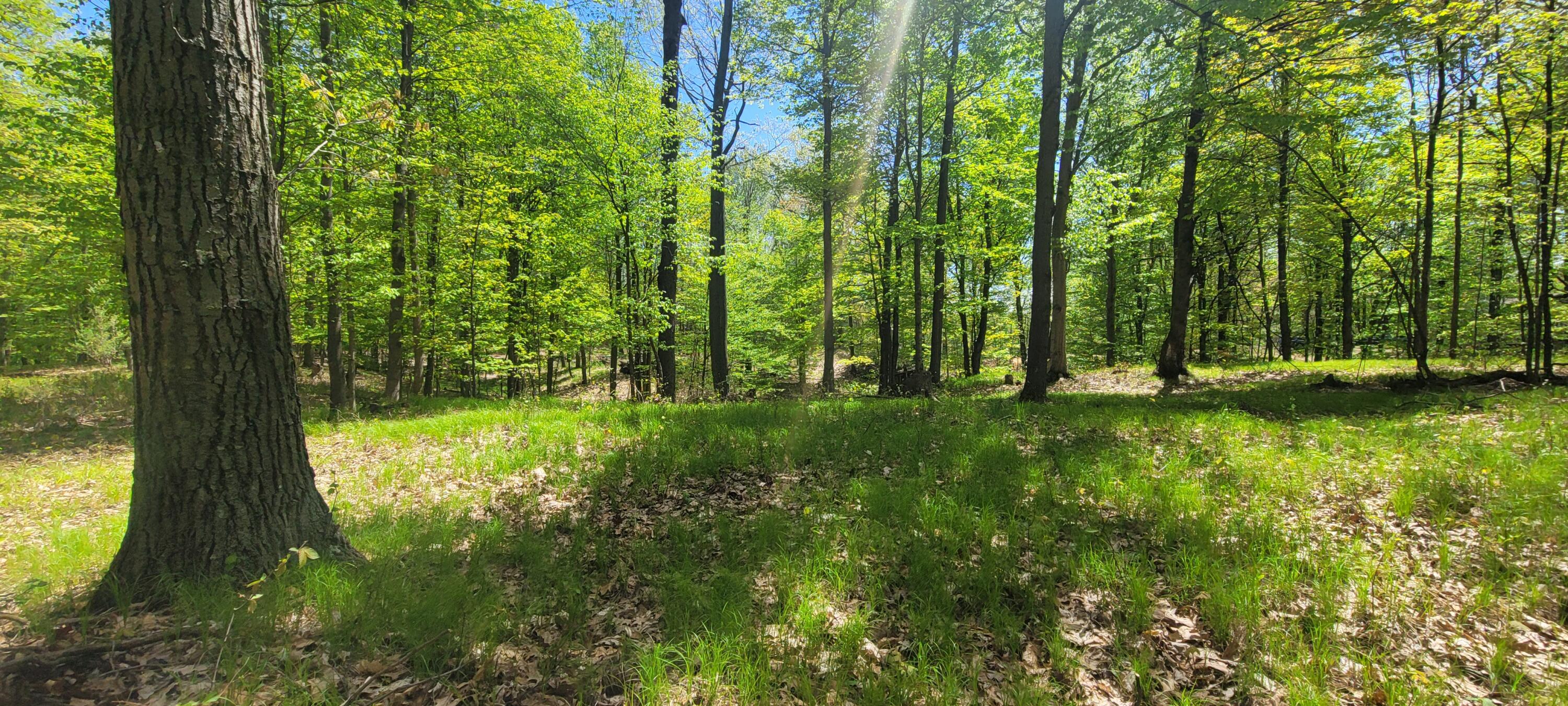 7190 West Fox Road Mears, MI 49436 - Photo 18 of 89 20240506_131725