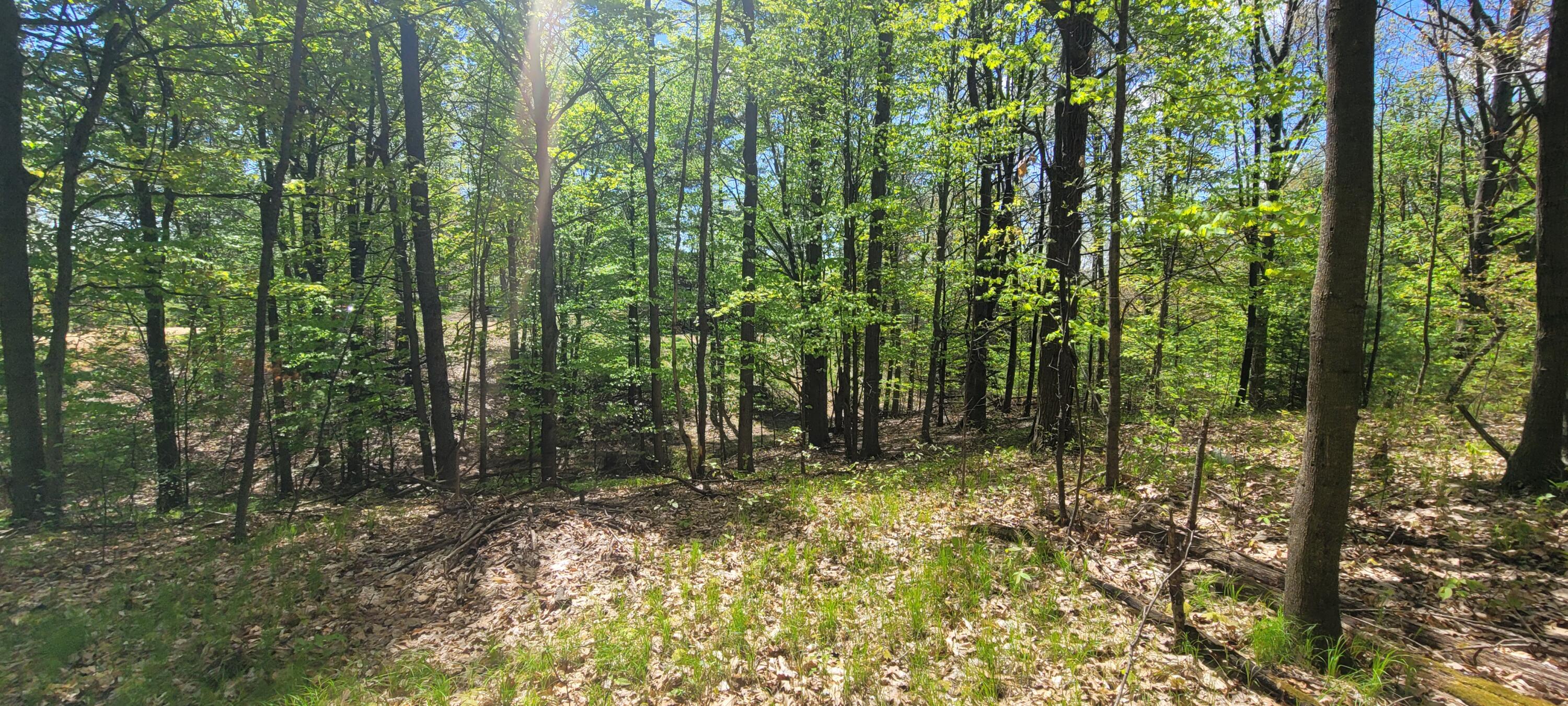 7190 West Fox Road Mears, MI 49436 - Photo 19 of 89 20240506_131837