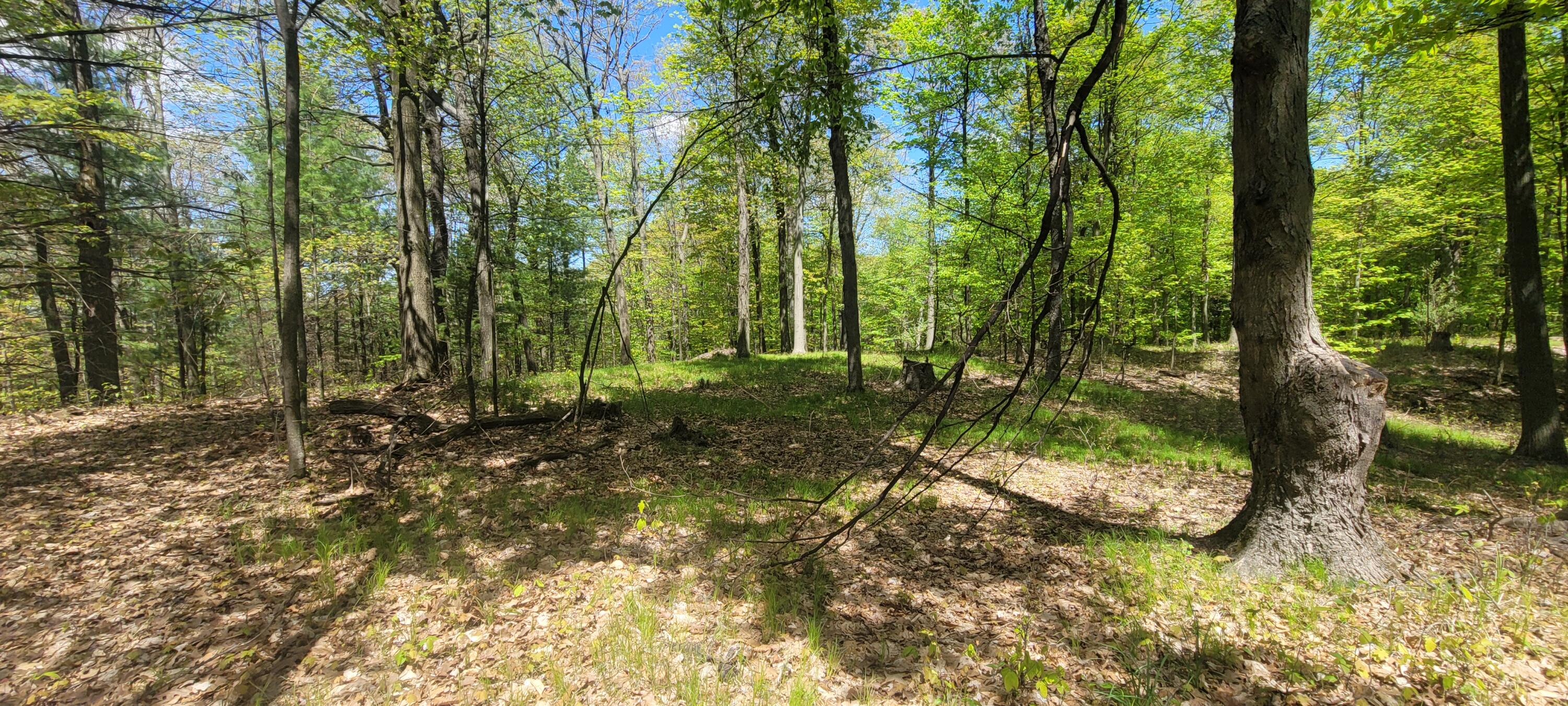 7190 West Fox Road Mears, MI 49436 - Photo 20 of 89 20240506_131834